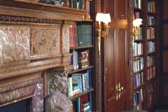 Canyon Ranch - Library